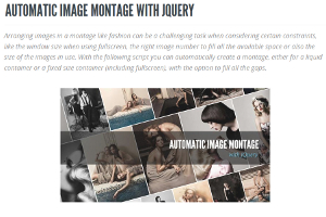 Automatic Image Montage
